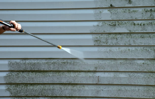 Best Driveway Pressure Washing  in Whippany, NJ